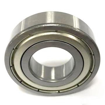 nsk 6007du bearing
