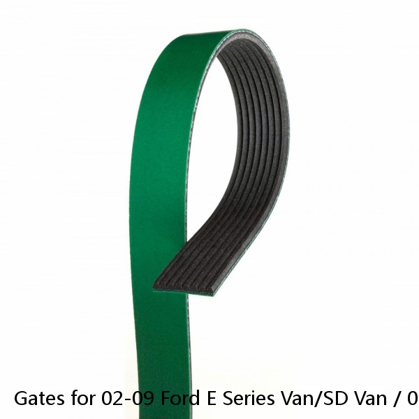 Gates for 02-09 Ford E Series Van/SD Van / 02-10 E450/F450/F550 SD Fleetrunner