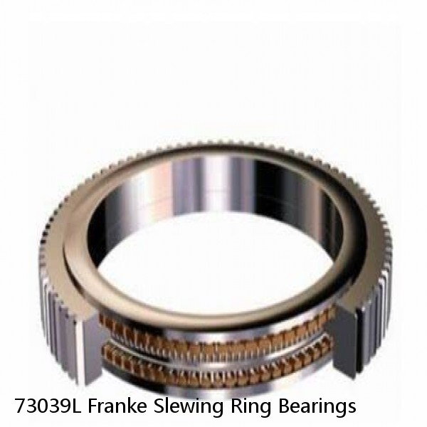 73039L Franke Slewing Ring Bearings #1 small image