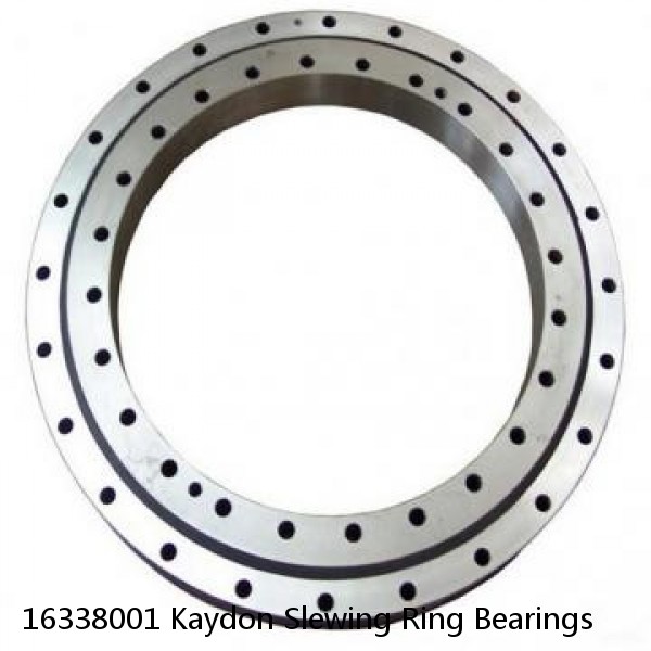 16338001 Kaydon Slewing Ring Bearings #1 small image