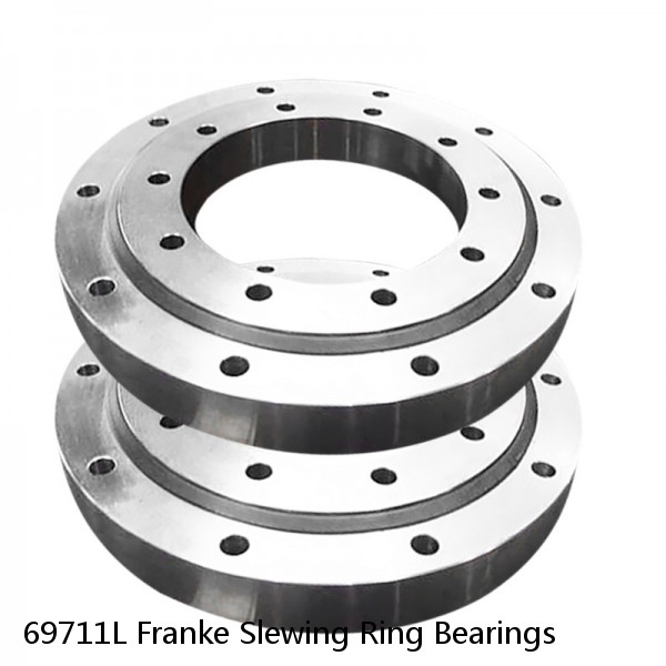 69711L Franke Slewing Ring Bearings #1 small image