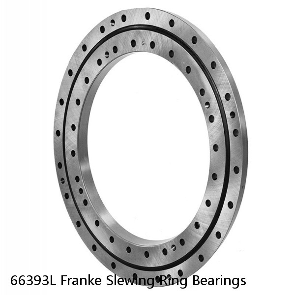 66393L Franke Slewing Ring Bearings
