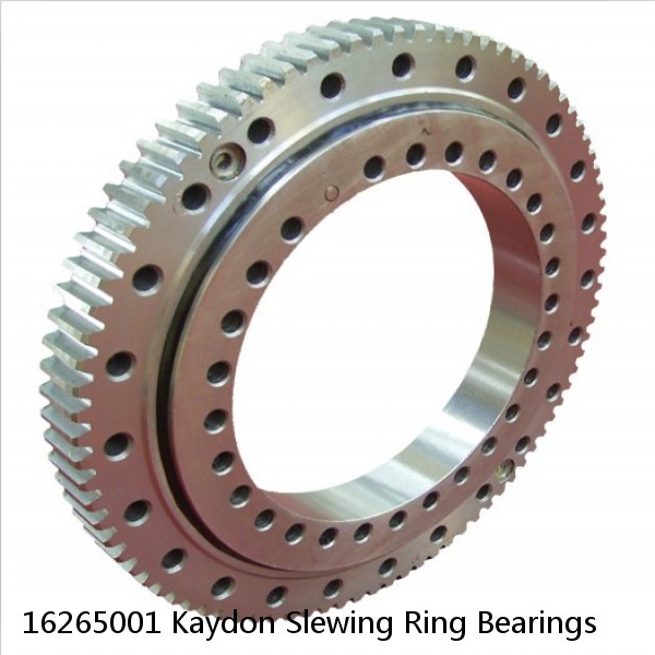 16265001 Kaydon Slewing Ring Bearings #1 small image