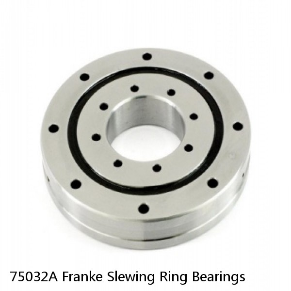 75032A Franke Slewing Ring Bearings #1 small image