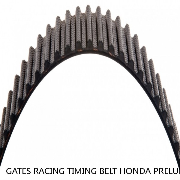 GATES RACING TIMING BELT HONDA PRELUDE H22 H22A H22A1 H22A4 2.2L DOHC VTEC #1 small image