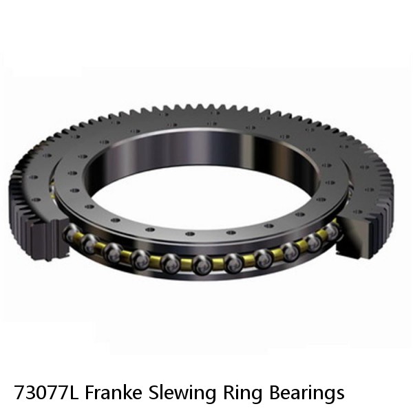 73077L Franke Slewing Ring Bearings #1 image