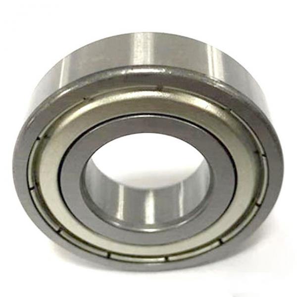nsk 6004du bearing #1 image