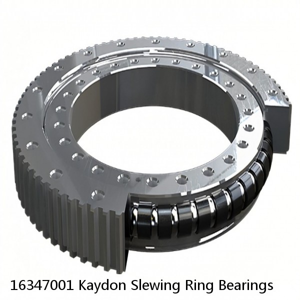 16347001 Kaydon Slewing Ring Bearings #1 image