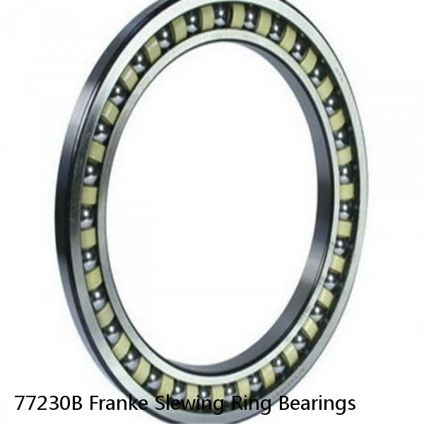 77230B Franke Slewing Ring Bearings #1 image