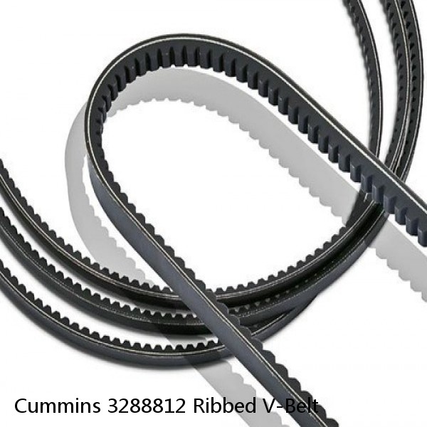 Cummins 3288812 Ribbed V-Belt #1 image