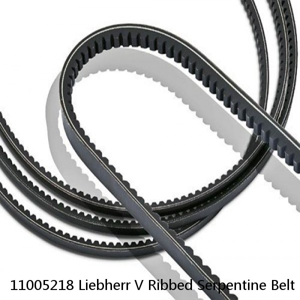 11005218 Liebherr V Ribbed Serpentine Belt Free shipping 11005218 #1 image